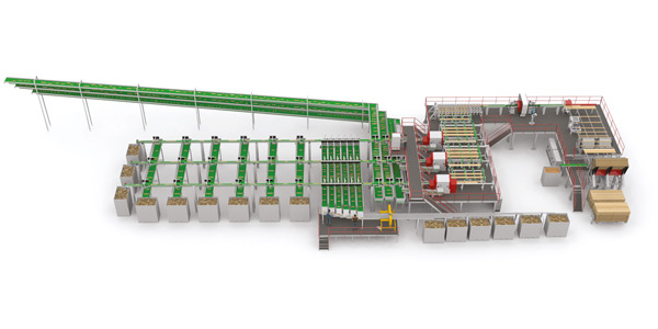 Success-on-the-South-American-market-line2